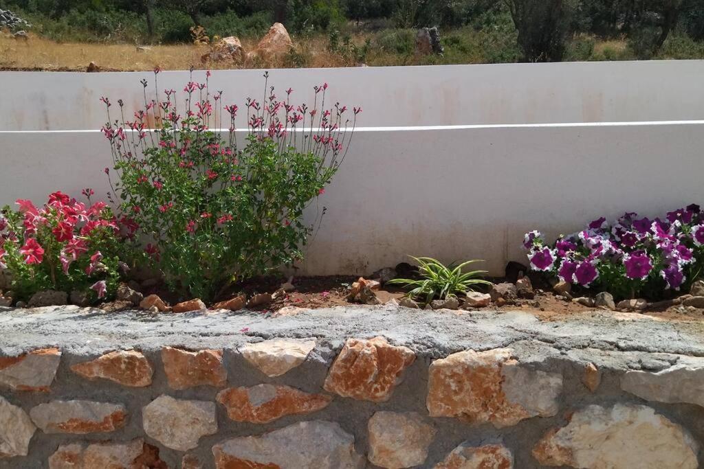Smailis Apartment 1 Koroni  Dış mekan fotoğraf